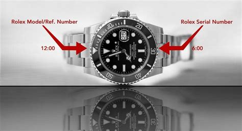 rolex matricola t990250|rolex watch model number lookup.